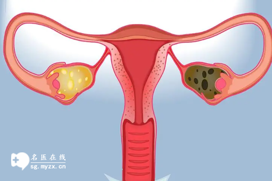 国内代怀试管,试管婴儿医院哪家好相关阐述