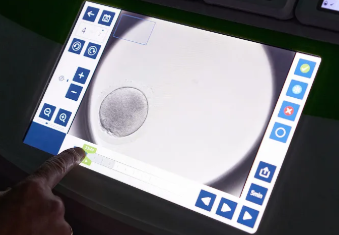 国内供卵一般等多久,试管婴儿移植胚胎后注意事项 试管移植后注意事项才能*率高 胚胎移植