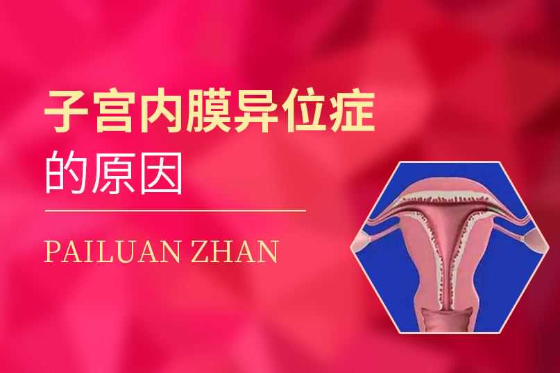 国内代怀服务公司地址,做试管对女性伤害大还是自怀大 做试管对女性伤害大还是自怀大些