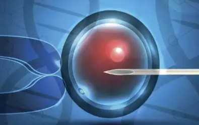 国内供卵十二万,深度解析做试管为何有“空卵泡”其含义又是什么