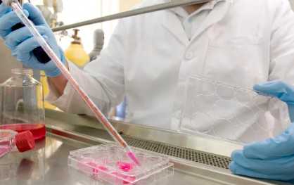 国内怎么找供卵的工作,做试管婴儿中途可以换医院吗对*率会不会有影响？