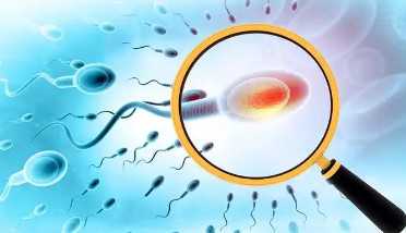 国内代生孩子价钱,女人四十三岁借卵做试管能一次性*吗？