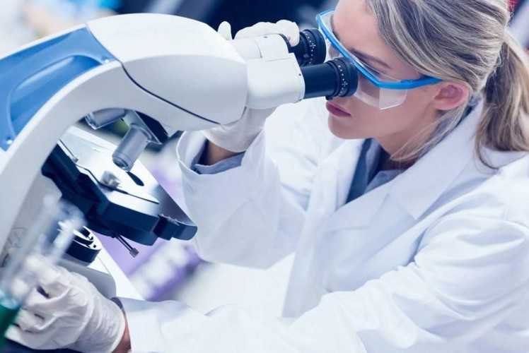 国内试管供卵中心,三代试管婴儿的流程、所需时间、费用