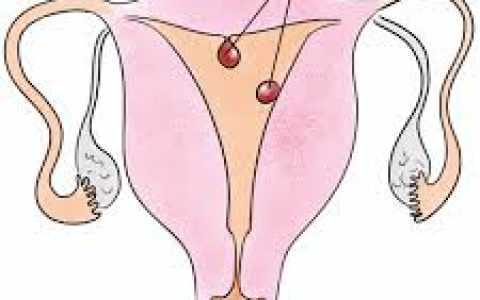 国内代生中心价格是多少,试管婴儿的*率有所高?试管婴儿中心告诉你