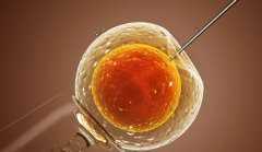 国内供卵机构,美国试管婴儿费用可不低可别轻信低价的诱惑