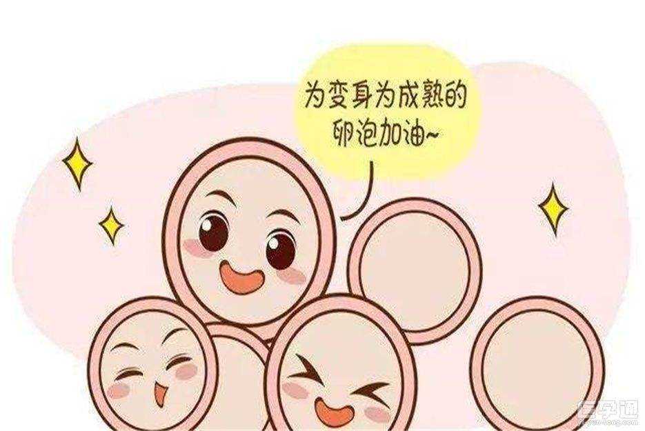 中国同性恋代孕,试管移植*的症状?如何一次能*?