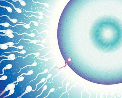 国内供卵公司排名榜最新,做试管婴儿有些什么风险？泰国试管婴儿存在失败风险吗