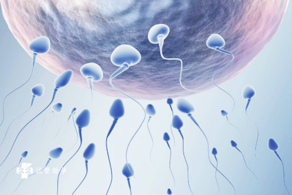 咨询国内供卵机构有哪些,哺乳期会不会怀孕呢