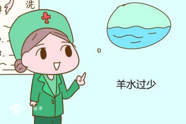 国内供卵公司费用,甲乙丙丁戊己庚辛壬癸是啥意思分别代表什么*肖（甲乙丙丁戊己庚辛壬癸是啥意思）