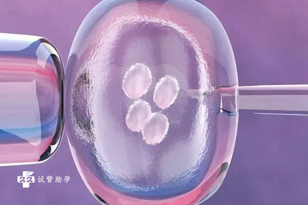 国内供卵的私立机构,有事钟无艳无事夏迎春下一句是什么（有事钟无艳没事夏迎春什么意思）