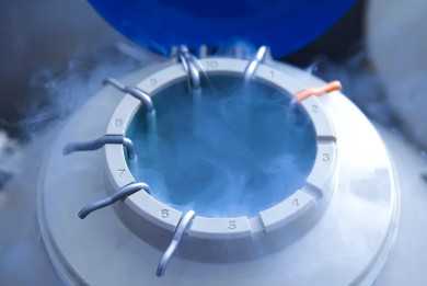 国内供卵公司名单,这5类食物均含丰富dha,孕期女性均可进行食用