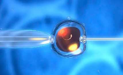 国内人工生殖代怀公司,两月龄宝宝接种脊灰疫苗部位选择，大腿和胳膊皆可