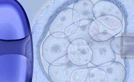 国内能做供卵医院,怀孕9个月有这些症状要注意，因为你家宝宝快出生了