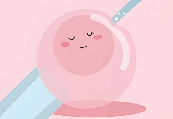 国内供卵试管怎么做,试管婴儿促排药倍孕力和果纳芬的区别是什么？