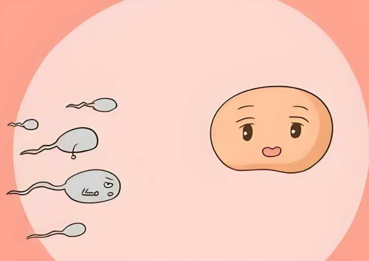 国内靠谱的代怀机构,怀孕辞职后生育险挂靠代缴合算吗?