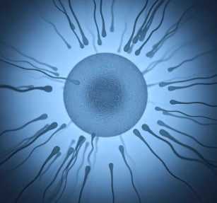 国内代孕哪家最好,卵泡不成熟怀孕了孩子能要吗