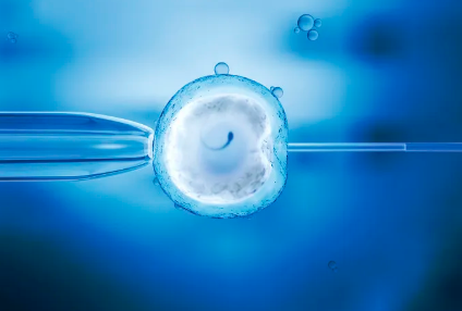 国内靠谱的供卵机构,试管婴儿一代和二代的区别是什么