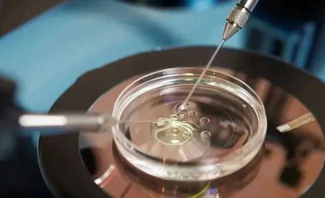 国内供卵机构中介,武汉*试管医院热门排行榜内附*男孩条件