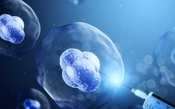 国内供卵孕妈妈,石家庄试管**男孩费用多少费用因人而异