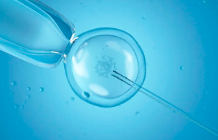 国内哪家医院有供卵试管婴儿,广州孙逸仙医院试管婴儿日记，费用、成功率与医生排名实例参考