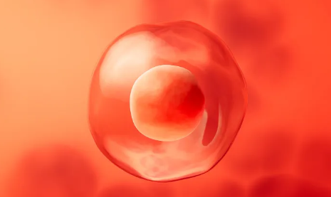 国内供卵排队多长时间,试管婴儿促排卵过程中长方案的优缺点详细解答！