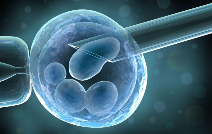 国内供卵哪里可以提供,胚胎冷冻一个月多少钱解析,一千正不正常现场告知答案