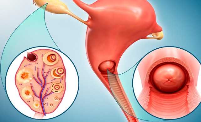 国内大医院哪家供卵比较好,【生育指南】：2026厦门安宝医院做三代试管费用大约要花多少？