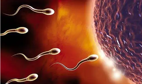 国内供卵代生产的医院,二代三代试管成功率