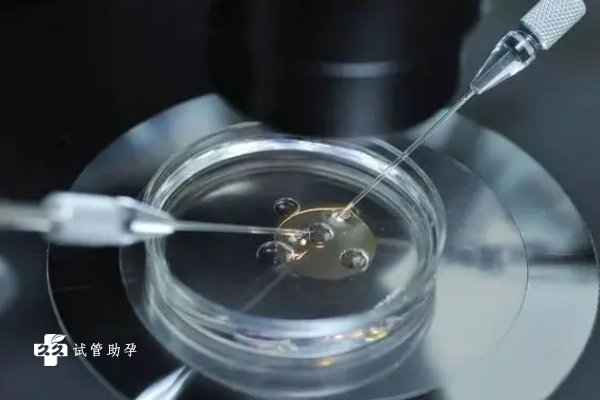 国内做的供卵试管,孕反突然没了的解决方法，试管婴儿第六天胸不疼了