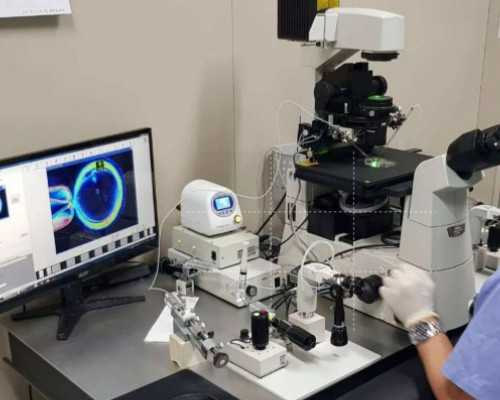 国内的供卵私立医院,重庆三代试管婴儿**男孩价格一览附*男孩费用明细