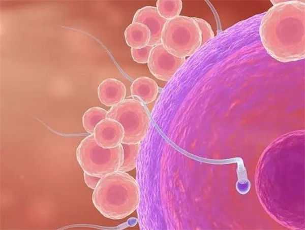 国内试管供卵医院排名,沈阳试管婴儿医院若九州,沈阳哪家试管婴儿翘楚九州