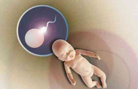 国内代生男孩电话,试管移植是全麻吗