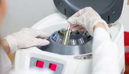 国内私人试管代孕公司,绥化市肇东市律师委托亲子鉴定样本怎么采集