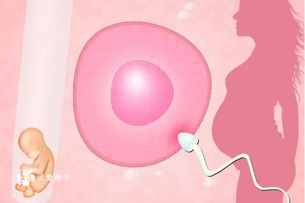 国内代孕咨询公司服务,怀化怀孕4个月能不能做孕期亲子鉴定