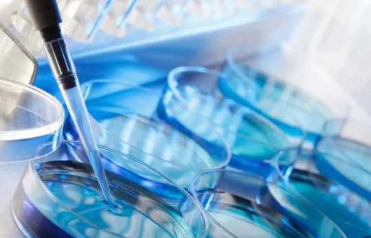 国内代怀医院费用多少,孕妇吃腌制食物对胎儿健康有影响,内附孕期饮食注意事项