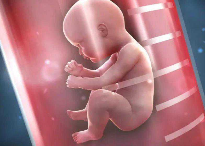 国内哪家医院有供卵试管,女方卵子质量差在梧州能做试管吗,改善卵子质量增加试管婴儿成功几率的方法