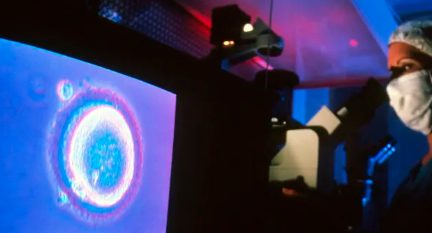 国内供精又供卵费用多少钱,单角子宫做试管婴儿成功率是多少?如何提高单角子宫试管成功率!