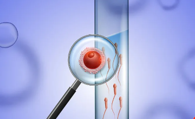 国内代生哪里有,2026年入学年龄规定2026年小学入学年龄最新政策