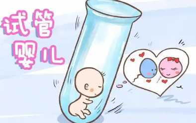 国内哪里可以供卵做试管的,香港试管婴儿成功率！具体情况如下！