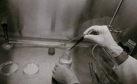 国内哪有捐卵公司,1一3月怀孩子孩子症状最准确症状盘点，别只知道酸儿辣女！