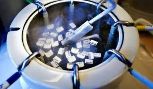 国内的私立供卵医院,2026湖北省妇幼保健院试管婴儿价格明细出炉，其实花不了多少钱